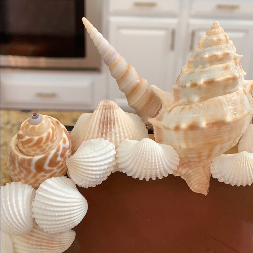 Handmade Genuine Shell Frame 5x7 - Picture 3 of 5